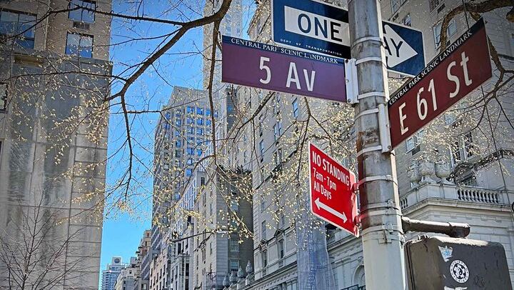 Gilded Age Self-Guided Audio Tour: Fifth Avenue's Millionaire's Row (3/10)