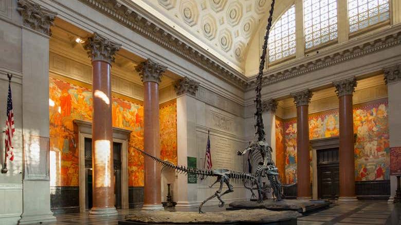 American Museum of Natural History Tickets with Special Exhibition Options (1/9)