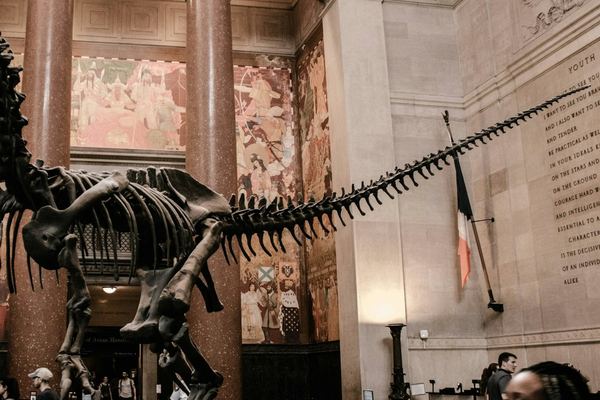 American Museum of Natural History General Admission Ticket