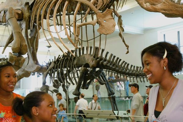 American Museum of Natural History Tickets with Special Exhibition Options