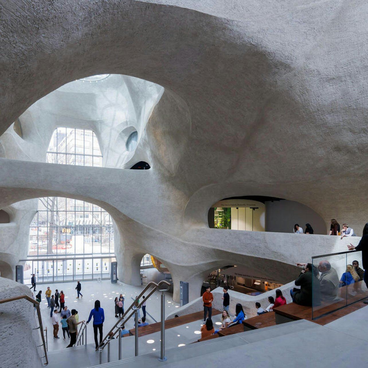 American Museum of Natural History General Admission Ticket (1/10)