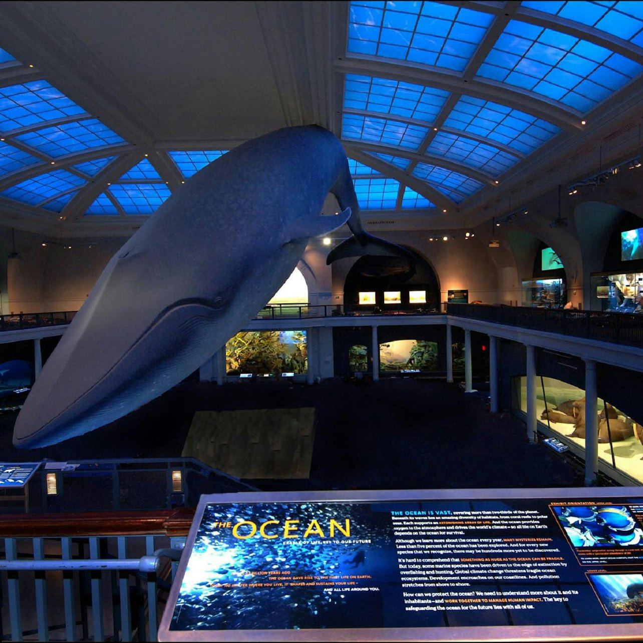 American Museum of Natural History General Admission Ticket (8/10)