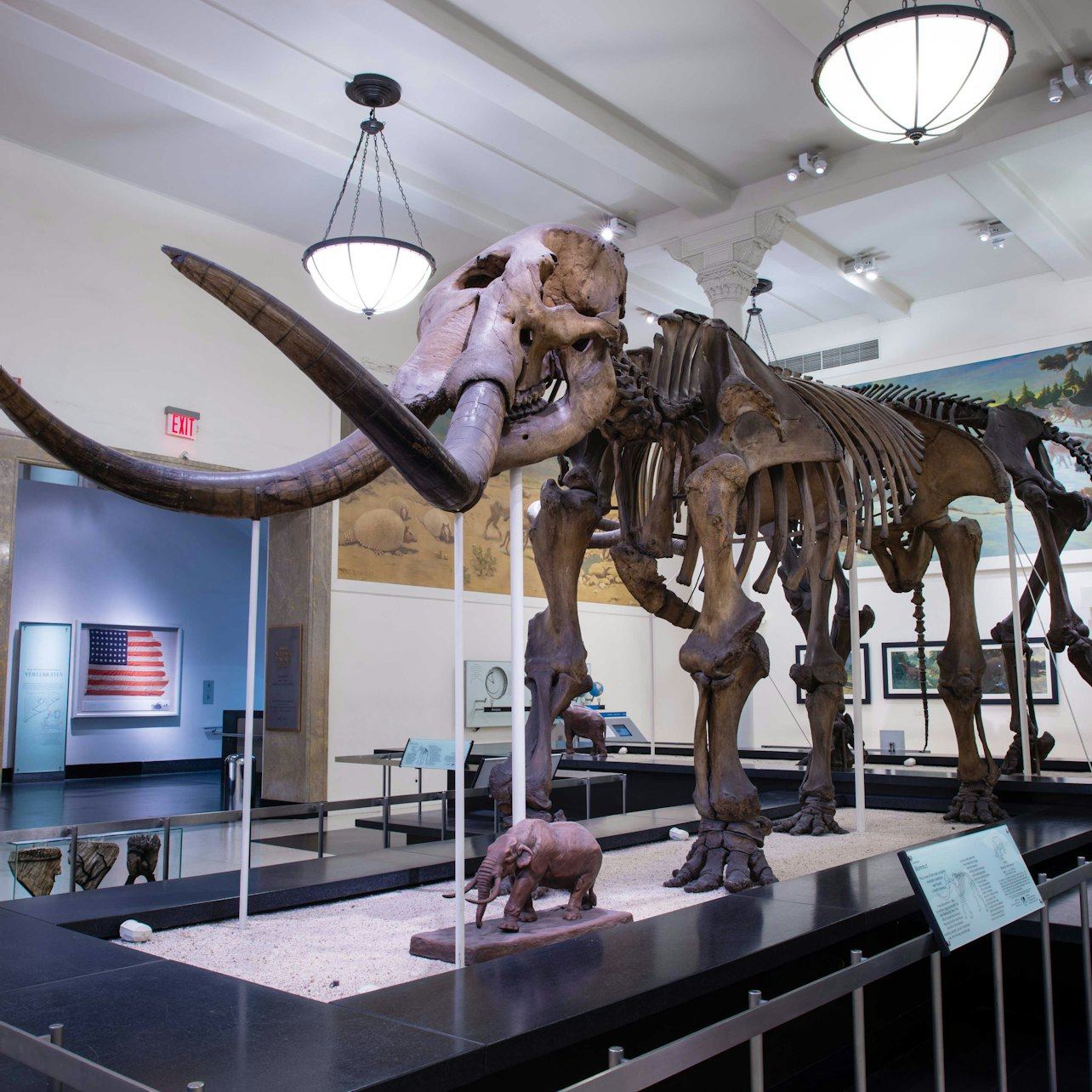 American Museum of Natural History General Admission Ticket (6/10)