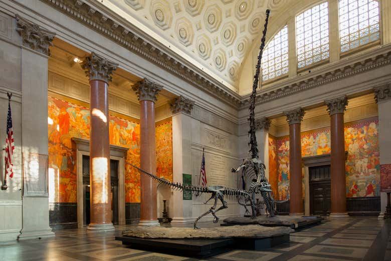 American Museum of Natural History Tickets with Special Exhibition Options (1/9)