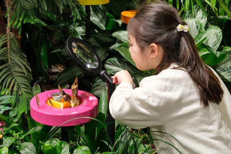 American Museum of Natural History Tickets with Special Exhibition Options (5/9)