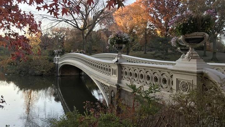 Central Park Scavenger Hunt: Self-Guided App Game by Let's Roam (1/12)