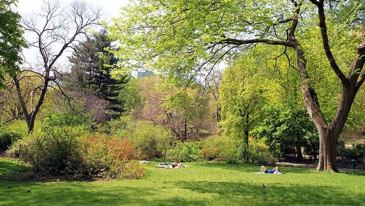 Central Park Scavenger Hunt: Self-Guided App Game by Let's Roam (2/12)