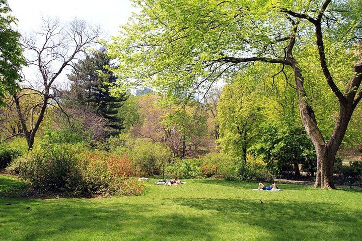 Central Park Scavenger Hunt: Self-Guided App Game by Let's Roam (2/12)