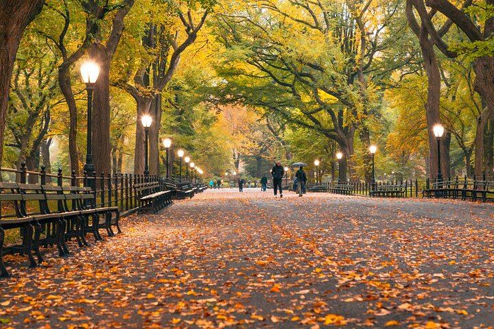 Central Park Scavenger Hunt: Self-Guided App Game by Let's Roam (11/12)