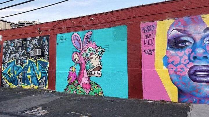 Bushwick Street Art Tour with a Graff Tours Guide, Brooklyn (2/8)