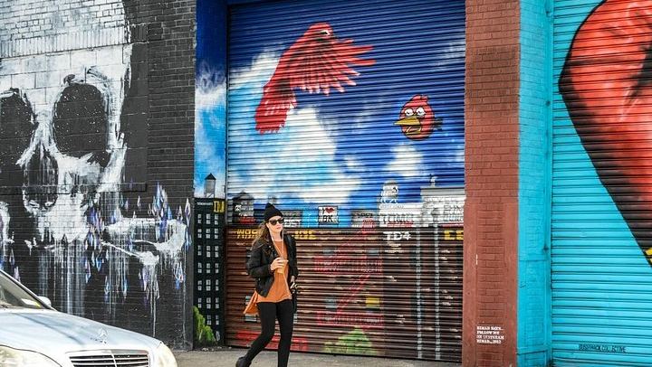 Bushwick Street Art and Williamsburg Walking Tour in French (1/8)