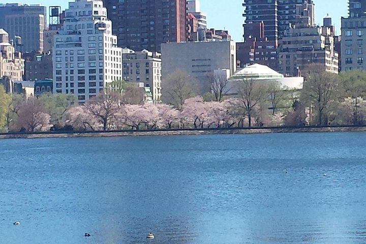 Film and Fiction Walking Tour of Carnegie Hill: Movie Locations on Museum Mile (9/12)