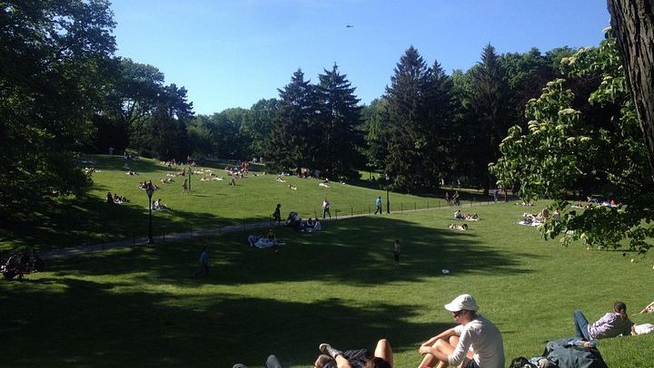 Central Park and Upper East Side Morning Walk with a Native New Yorker (4/8)
