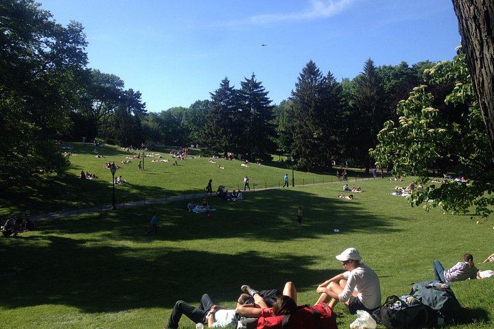 Central Park and Upper East Side Morning Walk with a Native New Yorker (4/8)