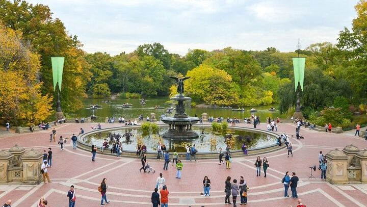 Central Park to Grand Central: 3-Hour Walking Tour via Fifth Avenue (3/12)