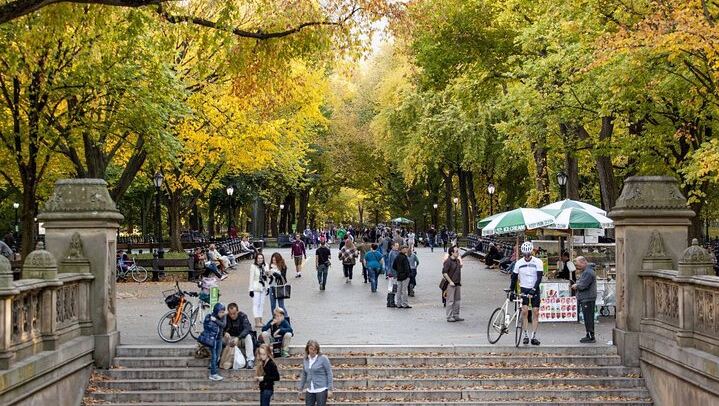 Central Park to Grand Central: 3-Hour Walking Tour via Fifth Avenue (2/12)