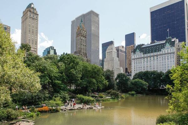 Central Park to Grand Central: 3-Hour Walking Tour via Fifth Avenue