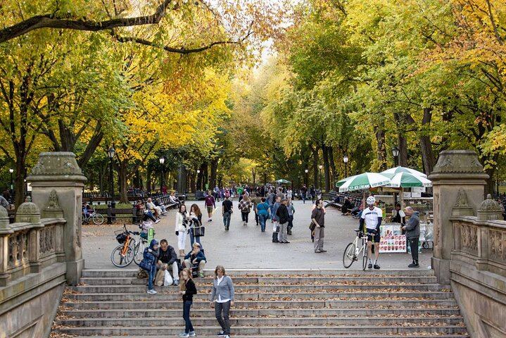 Central Park to Grand Central: 3-Hour Walking Tour via Fifth Avenue (2/12)