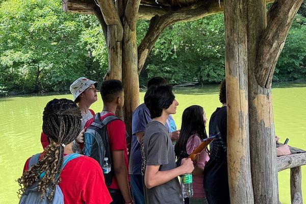 Central Park Birdwatching Walk for Beginners with That Quirky Bird Girl