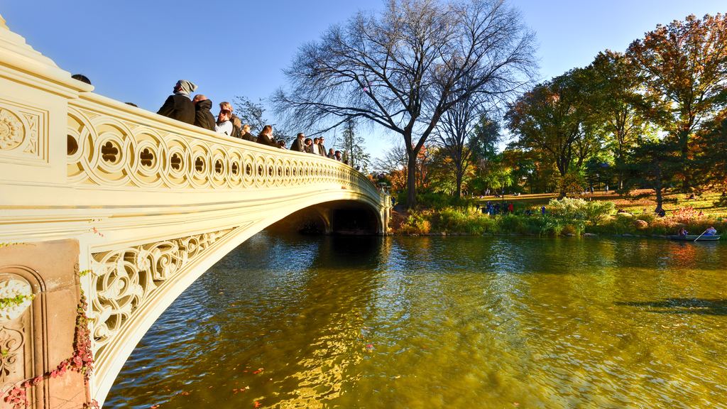 Bow Bridge arching over the Lake in Central Park in autumn, with walkers on the span and golden trees reflected in the water