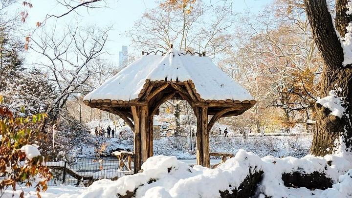 Central Park Walking Tour in French with New York in French (2/5)
