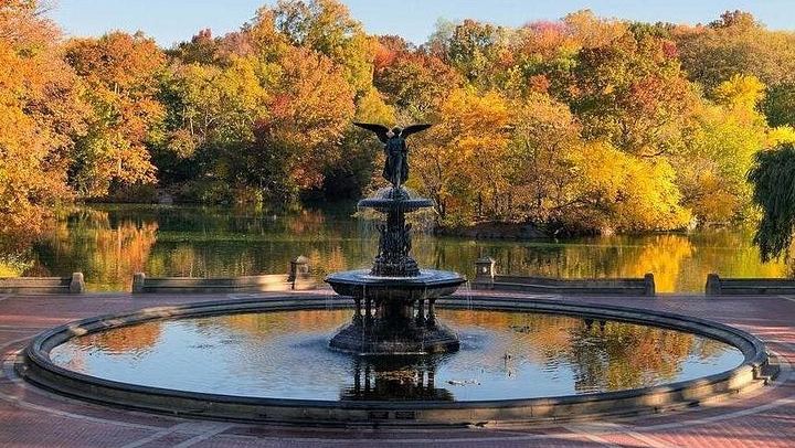 Central Park Guided Walk in English or Spanish: Landmarks and Quiet Corners (1/11)
