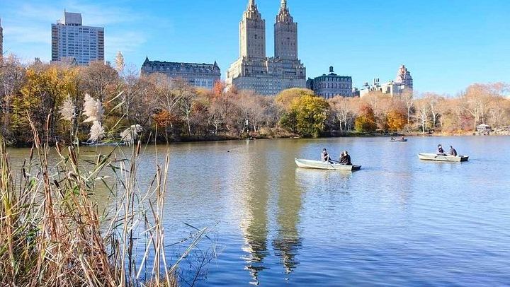 Central Park Walking Tour in French with New York in French (4/5)