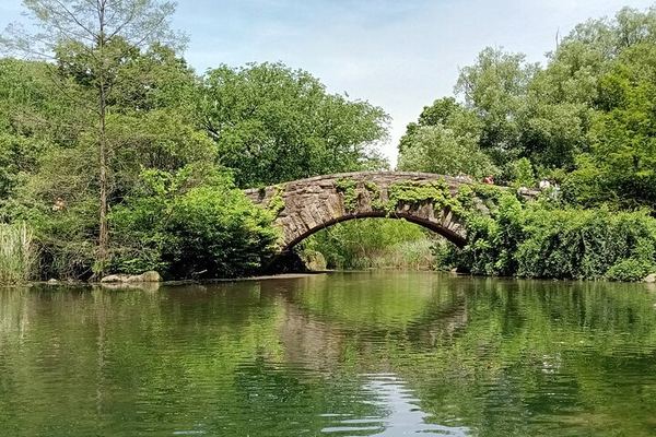 Central Park Walking Tour with Guide Michael Hunt
