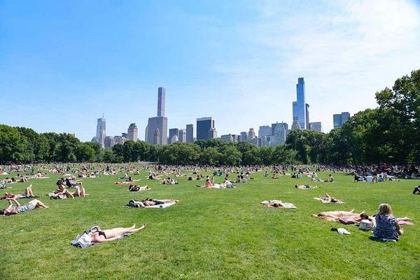 Central Park Walking Tour in French with New York in French