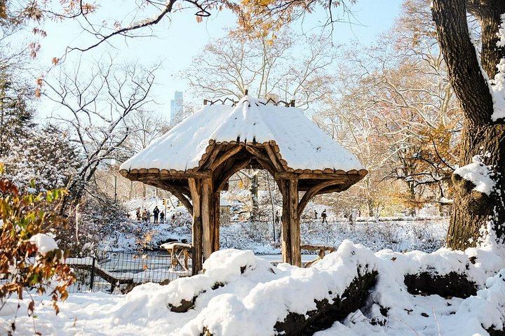Central Park Walking Tour in French with New York in French (2/5)
