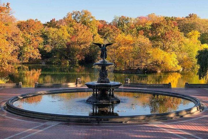 Central Park Guided Walk in English or Spanish: Landmarks and Quiet Corners (1/11)