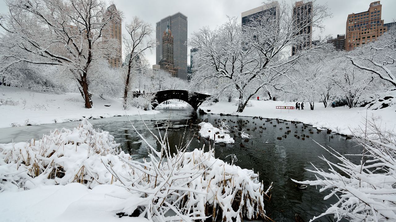 Central Park under fresh snow, with the Pond, the stone Gapstow Bridge and Midtown Manhattan towers behind, New York in winter