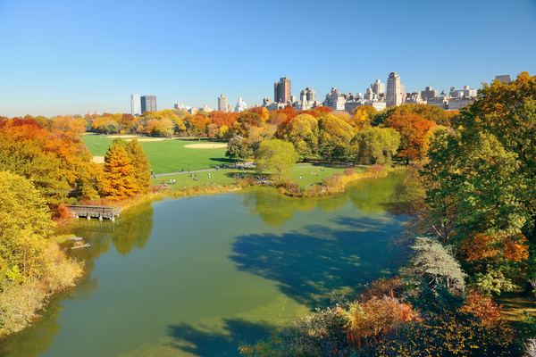 NYC Marathon Spectator Spots: The Race Runs Behind the Met Museum