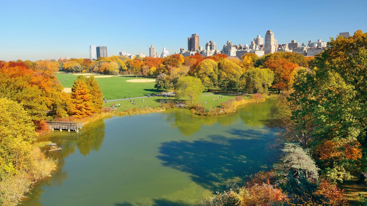 Autumn in Central Park: a lake edged with orange and yellow trees, a wide lawn behind and the apartment buildings of Manhattan along the park edge