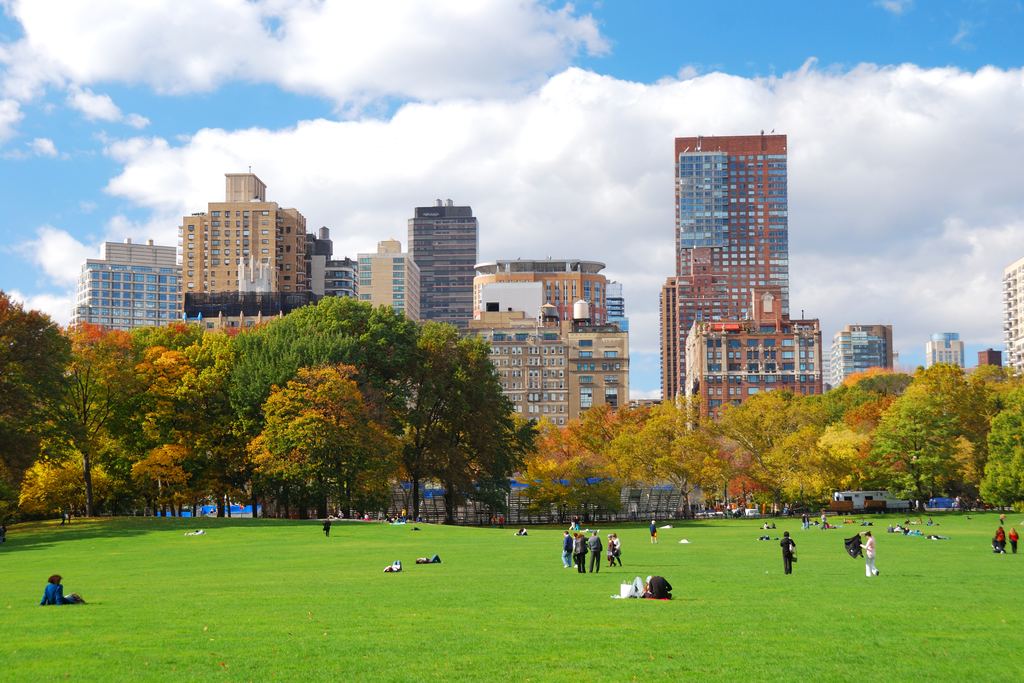 A Central Park lawn in early autumn, with trees turning orange and Manhattan apartment towers above the treeline