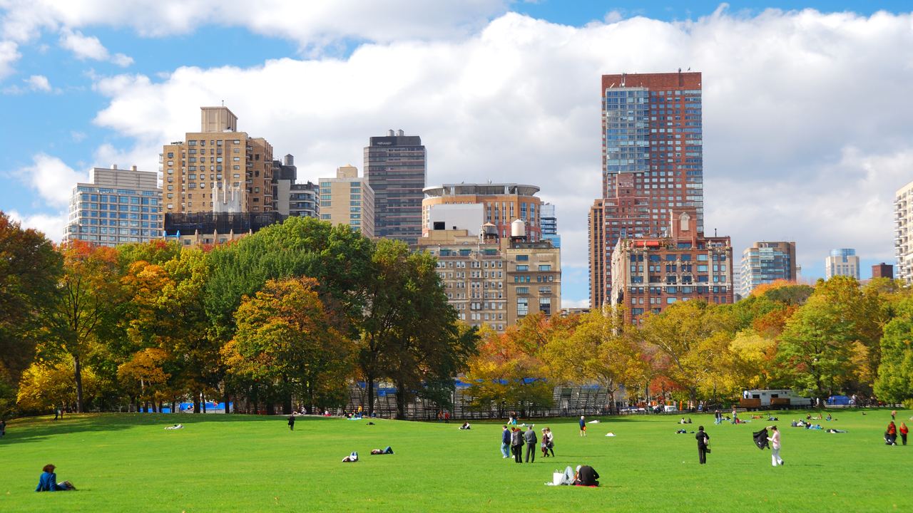 A Central Park lawn in early autumn, before the colour reaches the trees on the east side.