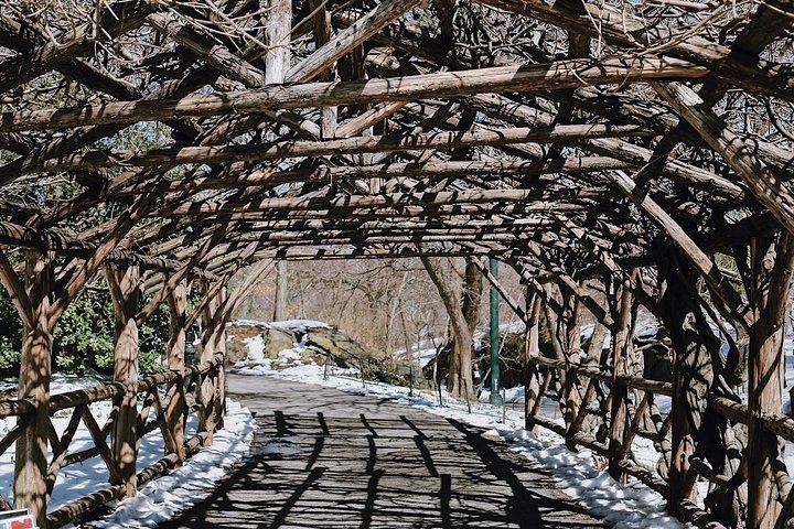 Private or Semi-Private Central Park Walking Tour, 2.5 Hours (2/10)