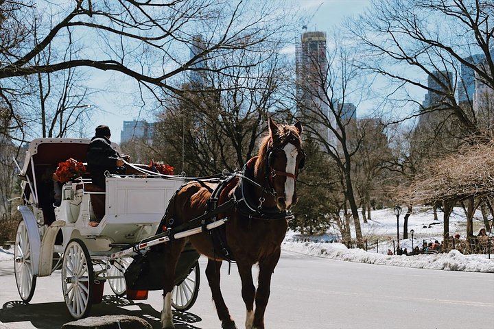 Private or Semi-Private Central Park Walking Tour, 2.5 Hours (3/10)