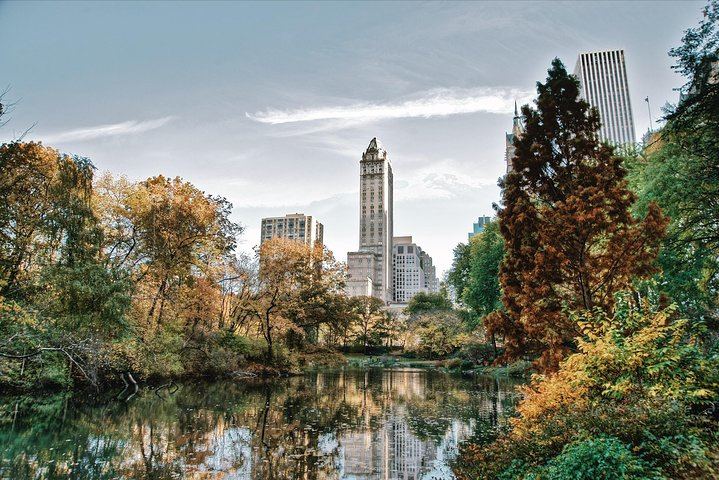 Private or Semi-Private Central Park Walking Tour, 2.5 Hours (8/10)
