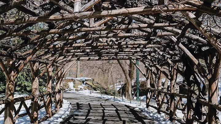 Private or Semi-Private Central Park Walking Tour, 2.5 Hours (2/10)