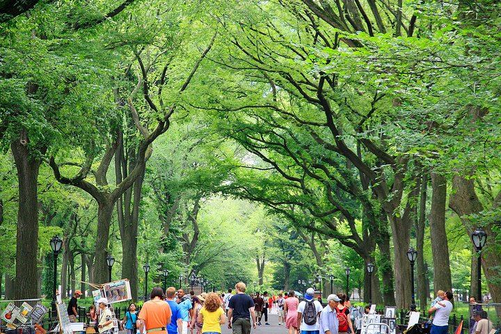 Central Park Photography Tour and Workshop with a Local Photographer (3/11)