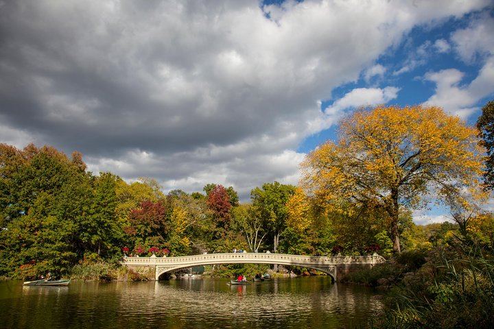 Central Park Photography Tour and Workshop with a Local Photographer (6/11)