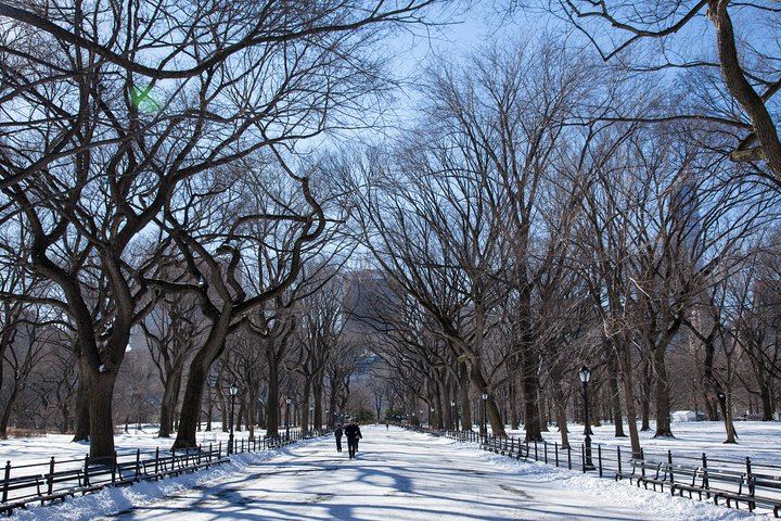 Central Park Photography Tour and Workshop with a Local Photographer (9/11)
