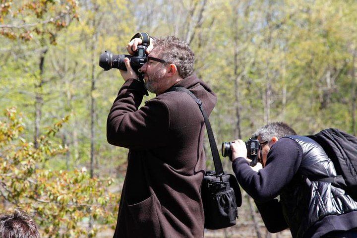 Central Park Photography Tour and Workshop with a Local Photographer (4/11)