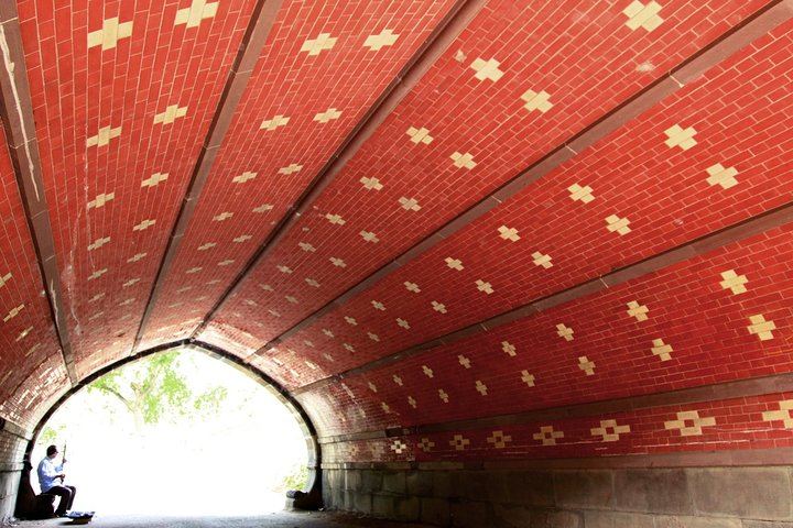 Central Park Photography Tour and Workshop with a Local Photographer (11/11)