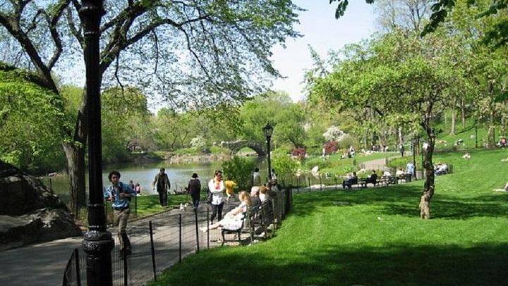 Central Park and Upper East Side Morning Walk with a Native New Yorker (1/8)