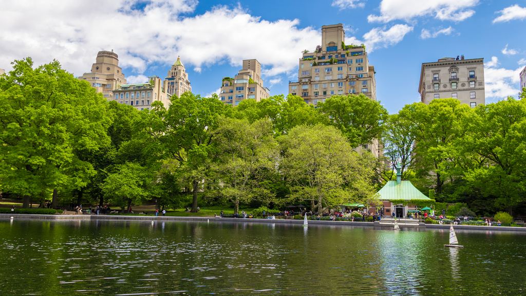 Model sailboats on Conservatory Water in Central Park, with the apartment buildings of Fifth Avenue rising behind the trees