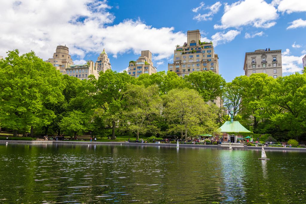 Model sailboats on Conservatory Water in Central Park, with the apartment buildings of Fifth Avenue rising behind the trees