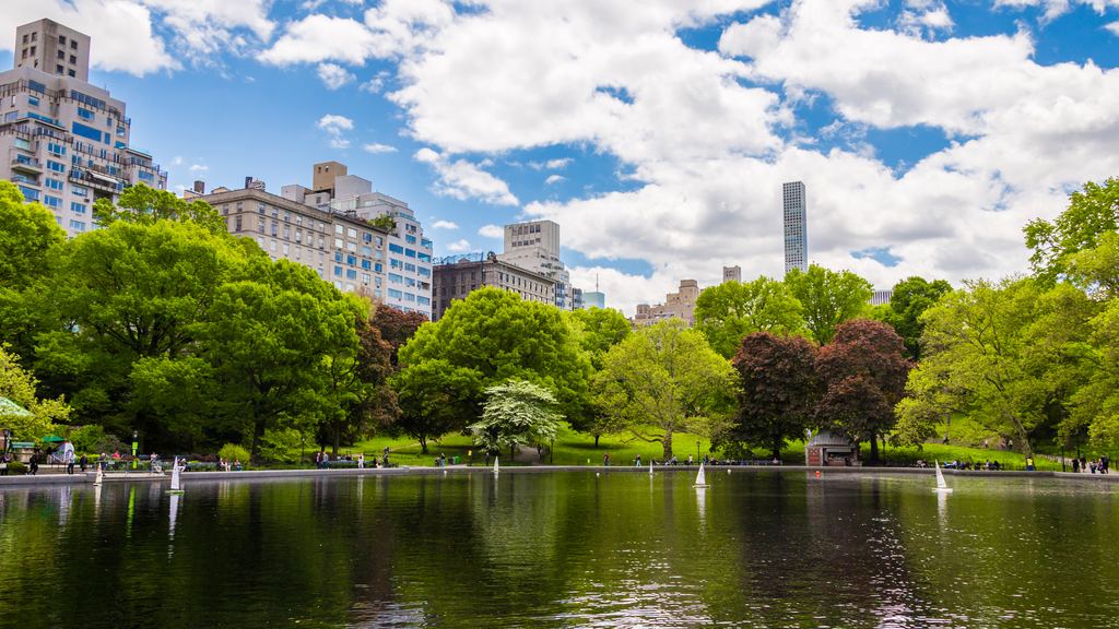 Conservatory Water in Central Park with model boats and the buildings of Fifth Avenue behind the trees