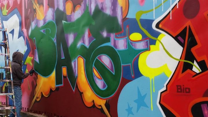 Bushwick Street Art Tour with a Graff Tours Guide, Brooklyn (3/8)